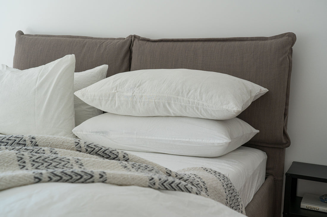 Organic Latex & Cotton Pillows, For Support & Comfort