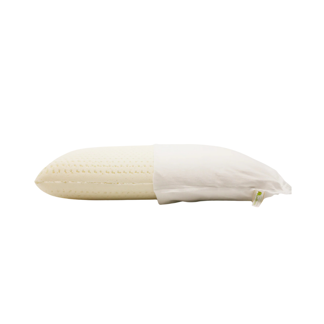 Low Loft Latex Pillow for Back Sleepers [GOTS CERTIFIED]